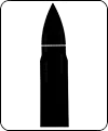 Bullet Tumbler